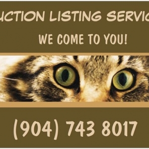 Photo of Ebay Auction Listing Service