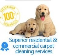 Photo of Cleaning Services Ennis TX