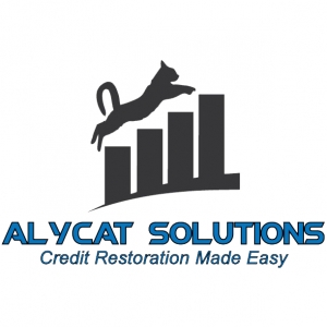King Of Prussia AlyCat Solutions