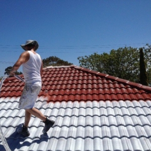 Photo of Roof Guyz