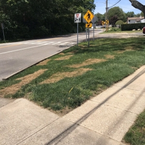 Photo of Emerald Magic Lawn Care