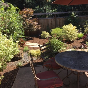 Berkeley Fiddlehead Gardens