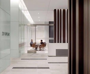 Photo of Roundleaf San Francisco