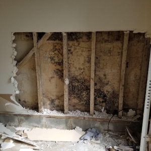 Photo of Mold Masters Inc - Glendale