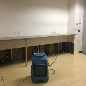 Photo of Mold Masters Inc - Glendale