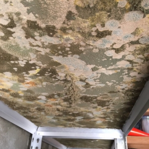 Photo of Mold Masters Inc - Glendale