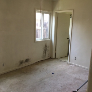 Photo of Mold Masters Inc - Glendale