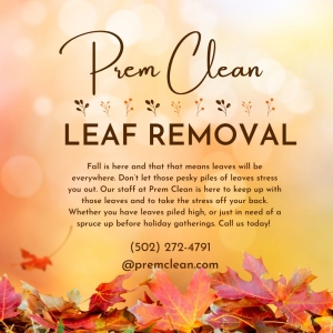 Photo of Prem Clean of Louisville