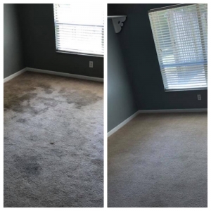 Photo of C4 Carpet Care