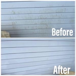Photo of Pure Window Cleaning