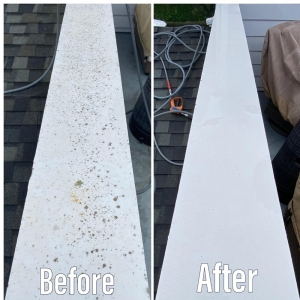 Photo of Pure Window Cleaning