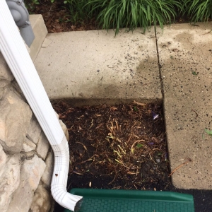 Photo of Terra Lawn Care Specialists
