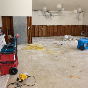 Photo of Damage Control Remediation