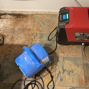 Photo of Damage Control Remediation