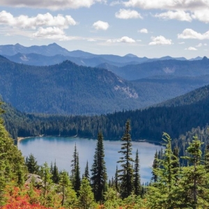 Photo of Pacific Northwest Advisory
