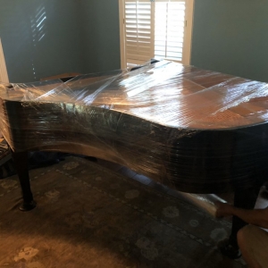Photo of Ant Movers