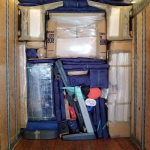 Photo of Ant Movers