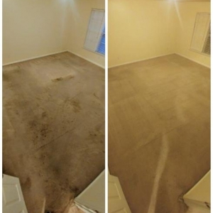 Photo of Metro Carpet Cleaning & Solutions