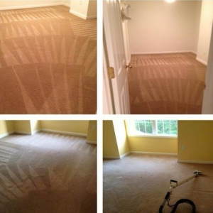 Photo of Metro Carpet Cleaning & Solutions
