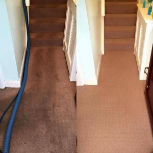 Photo of Metro Carpet Cleaning & Solutions