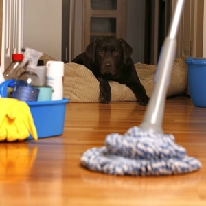 Photo of Astro Cleaning Service