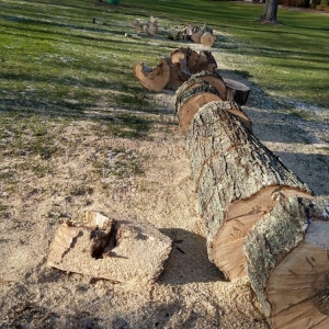 Photo of Jimys Landscaping Masonry Tree Service
