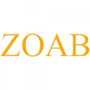Photo of Zoab Painting