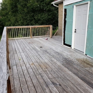 Photo of Elite Pressure Washing and Property Services.