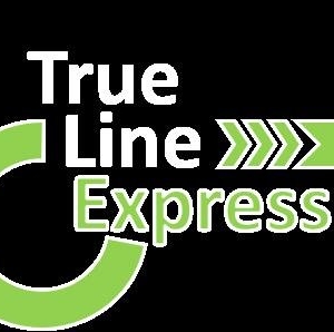 Photo of True Line Interiors