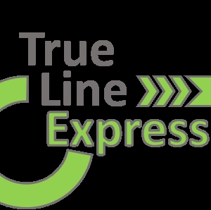 Photo of True Line Interiors