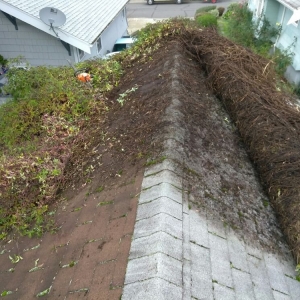 Photo of All Around Yard Care Services