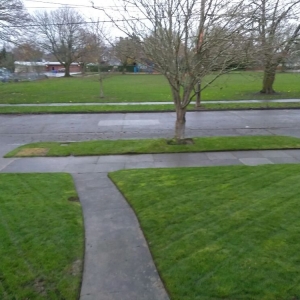 Photo of All Around Yard Care Services