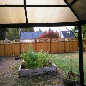 Photo of All Around Yard Care Services