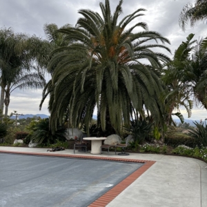 Photo of MG's Tree Service & Landscaping