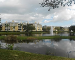 Photo of C C Painting