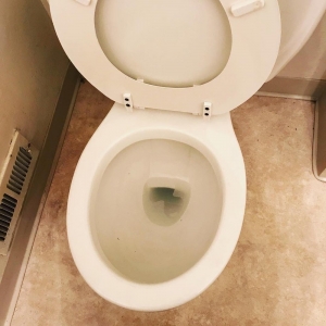Photo of Millennial All Pro Service