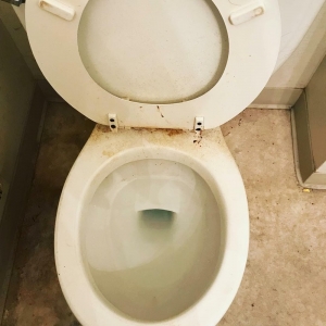 Photo of Millennial All Pro Service