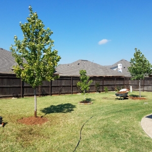 Photo of The Lawn Pro OKC
