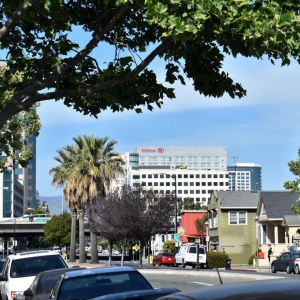San Jose ActionSpot