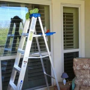 Photo of Torres Professional Cleaning