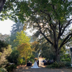Photo of Risley Landing Gardens