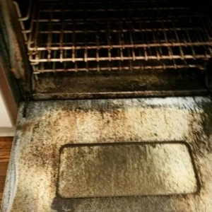 Photo of Dreamer Butterfly Cleaning Service