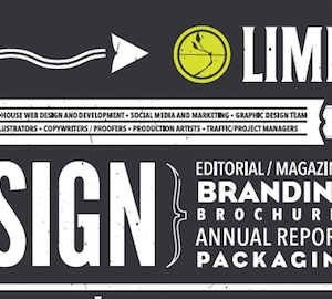 Houston LIMB Design