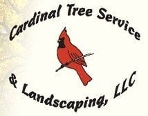Photo of Cardinal Tree Service