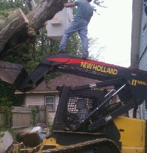 Photo of Cardinal Tree Service