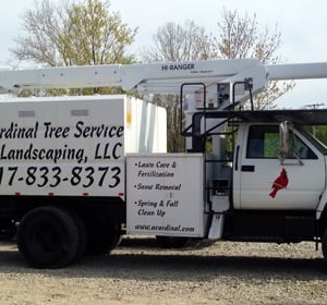 Photo of Cardinal Tree Service
