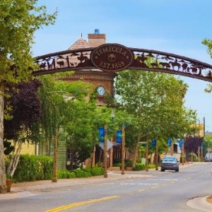 Photo of Portico Insurance Services
