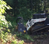 Photo of Addison Tree Care