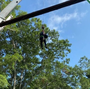 Photo of Addison Tree Care