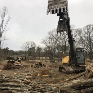 Photo of Addison Tree Care
